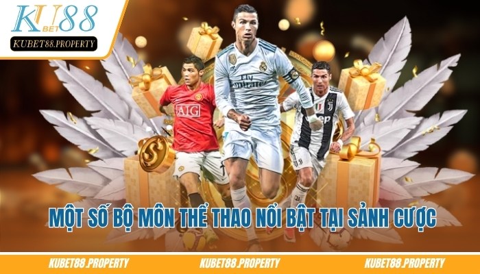 CMD Sports – Lựa Chọn Hàng Đầu Cho Người Yêu Thể Thao Điểm qua một số bộ môn thể thao nổi bật tại sảnh cược CMD Sports