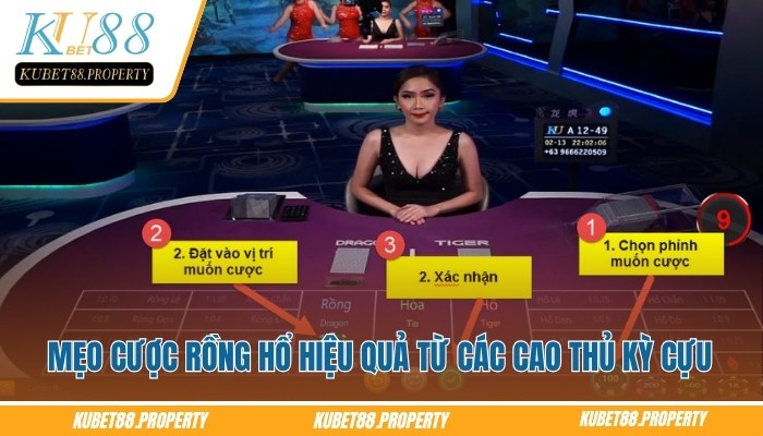 Rồng Hổ KUBET – Tips Chọn Cửa Chuẩn Cho Newbie Khi Vào Tiền Mẹo cược rồng hổ Kubet hiệu quả từ các cao thủ kỳ cựu